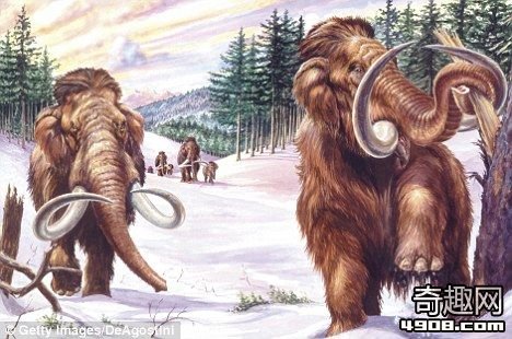 复活：科学家借助克隆技术，可能会在未来5年内让这种在数千年前灭绝的远古猛犸象重新复活。