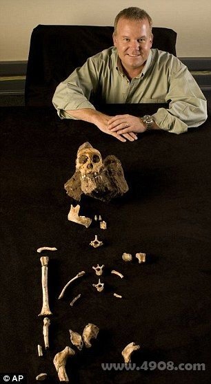 骨架残骸：伯杰教授摆出卡拉伯非常完整的残骸，这是南方古猿的早期样本。