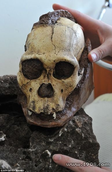 掉了一颗牙齿：这些属于南方古猿新种的一个青少年原始人骨架的残骸是迄今为止考古发现中最完整的早期人类祖先骨架。