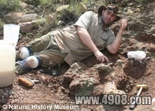 伦敦自然历史博物馆的保罗-巴莱特，正在南非的格雷夫人镇挖掘蜥脚类恐龙的骨骼化石
