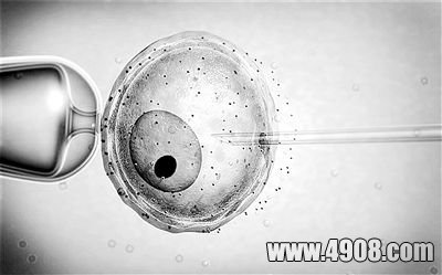 由“三合一”胚胎人工授精技术诞生的婴儿，通过更换“第二位母亲”卵子中的线粒体修复了缺陷DNA。